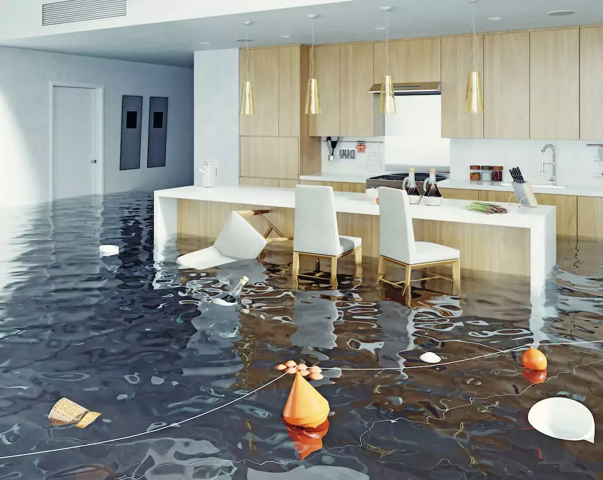 flood-inside-a-house.jpeg