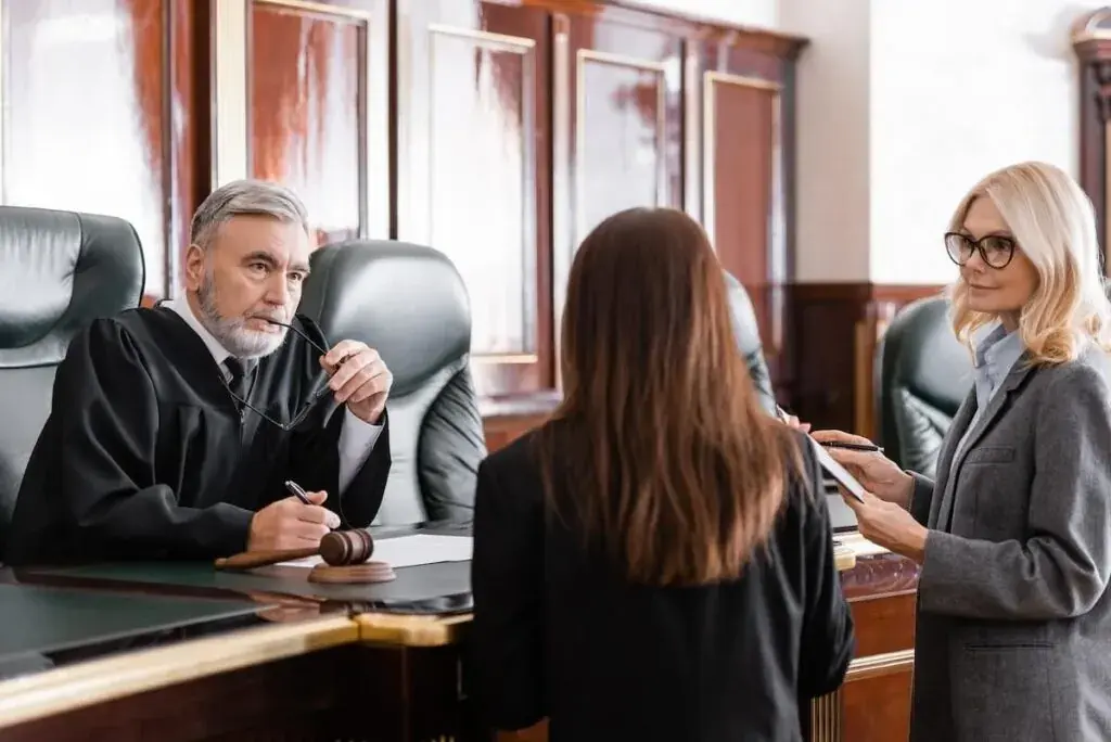 lawyer-talking-to-a-judge-1024x684.jpeg