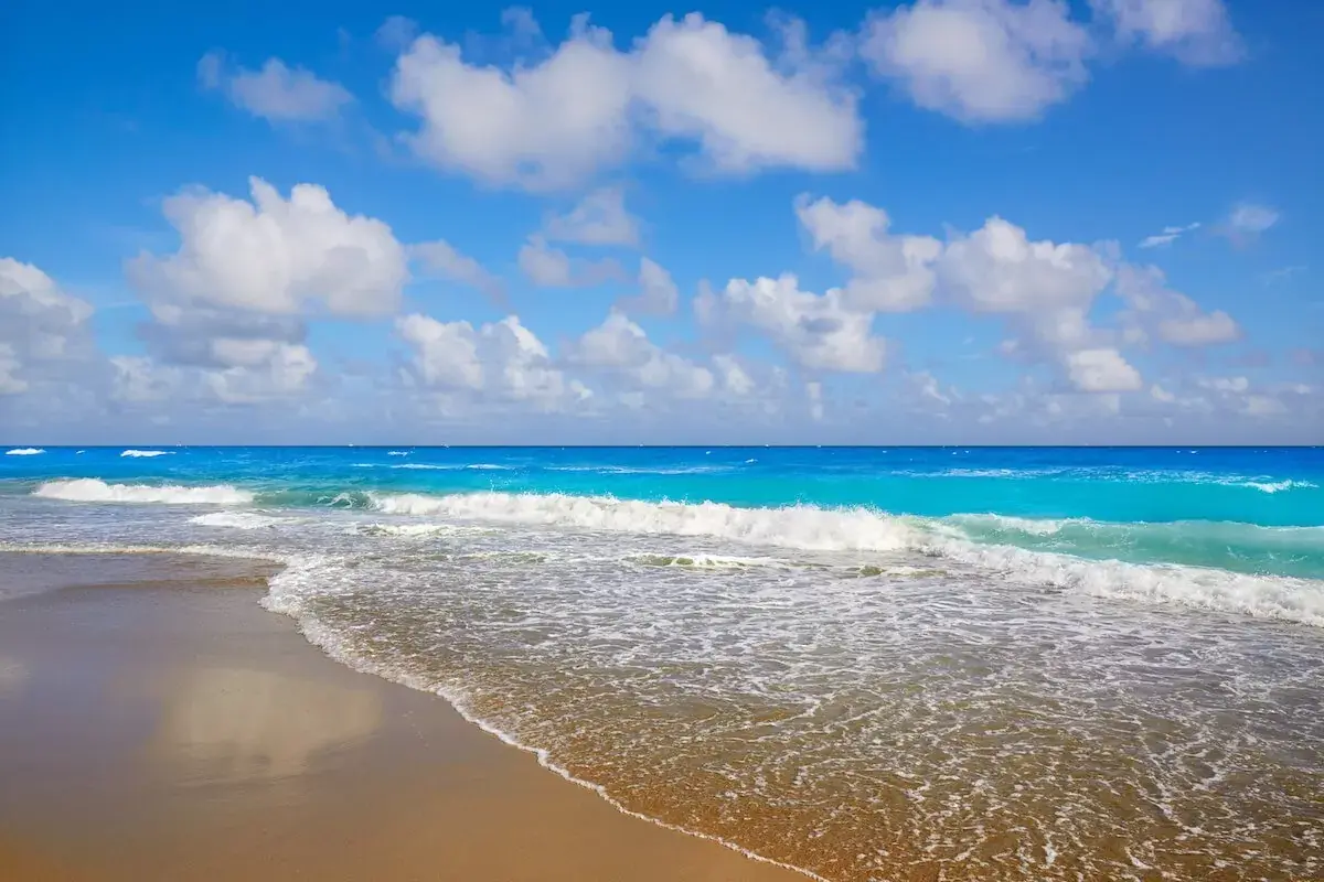 palm-beach-in-Florida.jpeg